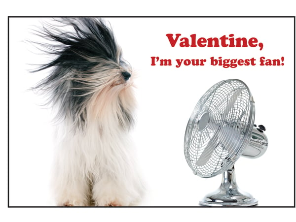 Valentines Day Card_biggest fan-1